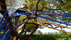 Trees on Campus