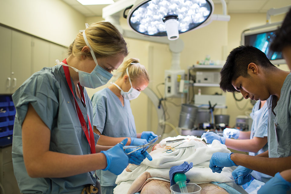 Knox Students practice their skills in the operating room.