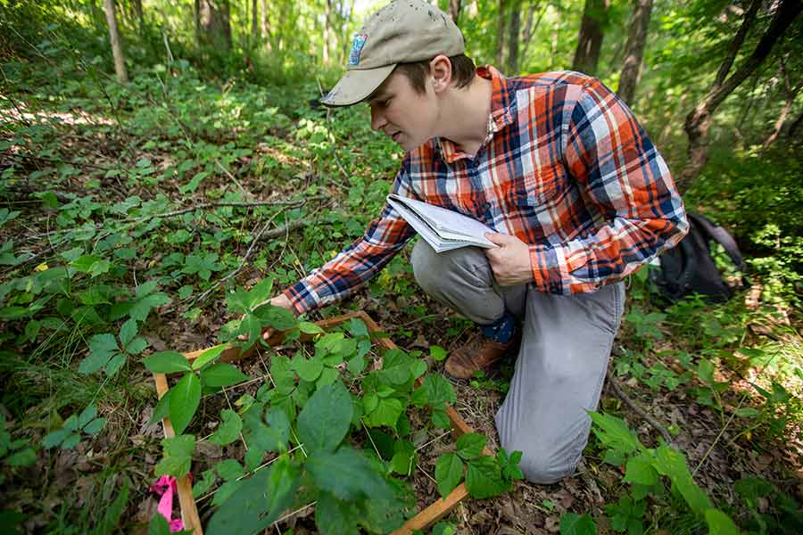 Senior Ben Dolezal studied shrubs and trees for his Green Oaks project on invasive plant species.