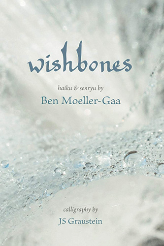 Book Cover - Wishbones