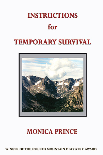 Book Cover - Instructions for Temporary Survival