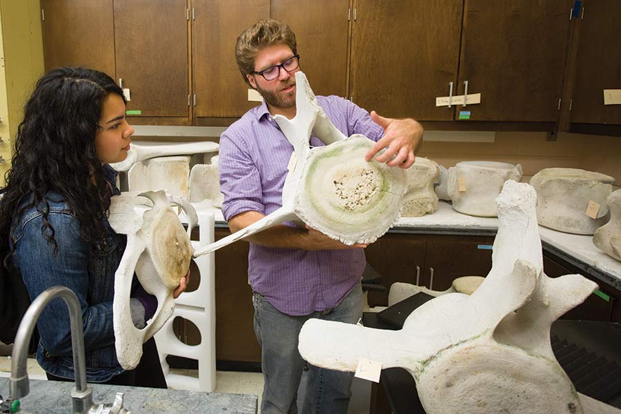 Assistant Professor of Biology Nick Gidmark points out the vertebral body to Sam Arrez ’19.