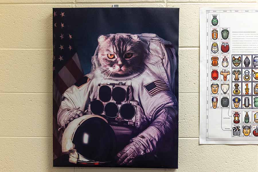 Photo of a cat in an astronaut suit.