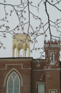 A winter view of Old Main's bell tower.