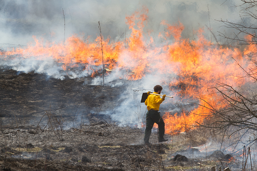 Knox College Green Oaks Prairie Burn 2013