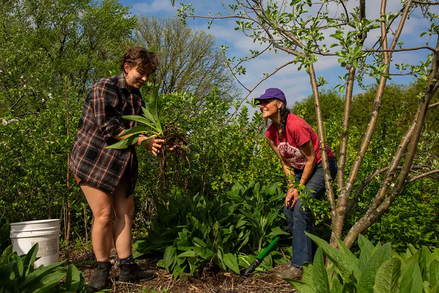 A student and staff members stand under the shade a tree surrounded by plants, while the student holds up a plant.