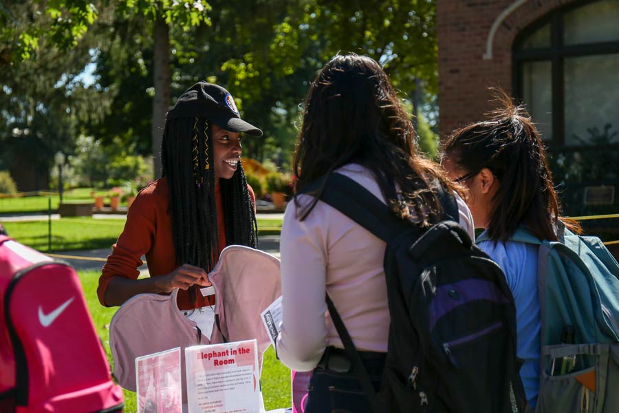 Students at Knox's Fresh Check Day event check out the booth "Elephant in the Room."