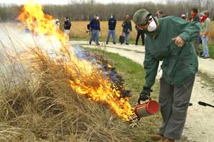 Green Oaks - Prairie Burn