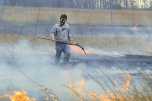 Green Oaks - Prairie Burn