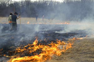 Green Oaks - Prairie Burn