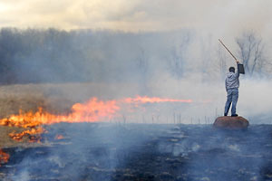 Green Oaks - Prairie Burn