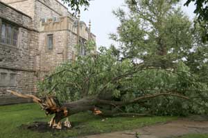 Storm Damage Old Main