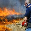 Knox College Prairie Burn