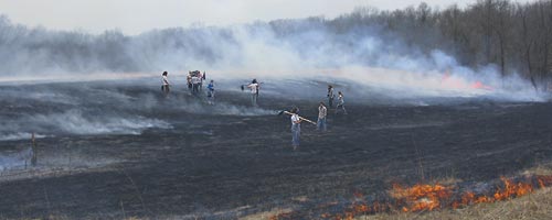 Green Oaks Prairie Burn