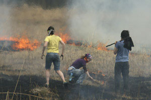 Green Oaks - Prairie Burn