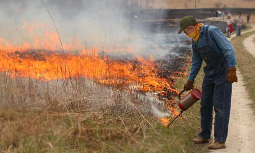 Green Oaks Prairie Burn - Stuart Allison