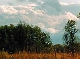 Green Oaks Biological Field Station