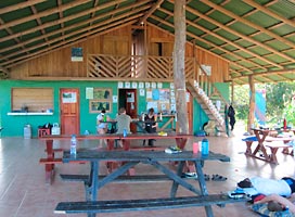 Sea Turtle Research Area