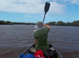 Knox students on Everglades canoe trip