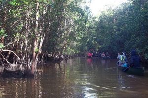 Knox students on Everglades canoe trip