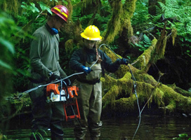 Elizabeth Cockrell prepares to pull another log into a stream