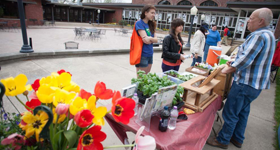 Galesburg Earth Day Festival 2013