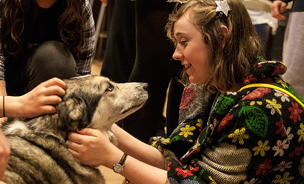 Pause for PAWS - Knox College