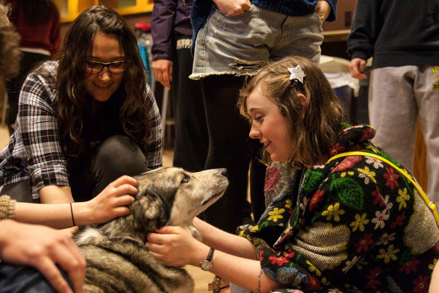 Knox students relax before exams by spending time with pets at the Pause for PAWS.