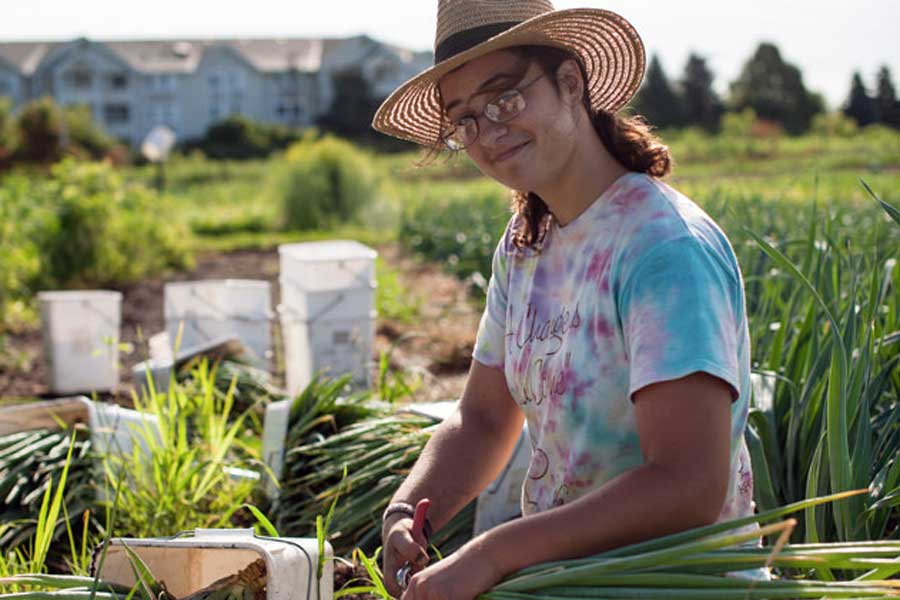 Knox students are committed to sustainability and environmental responsibility. Robin Delaquess '16, for example, was working on an organic farm this summer.