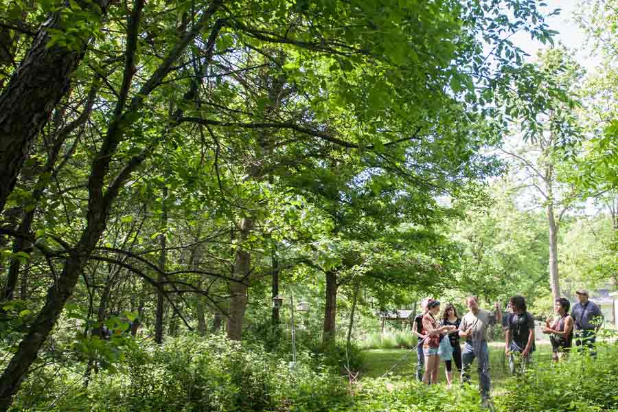 The Earth Day Fun Run & Walk at Knox College will raise money to plant trees in Galesburg.