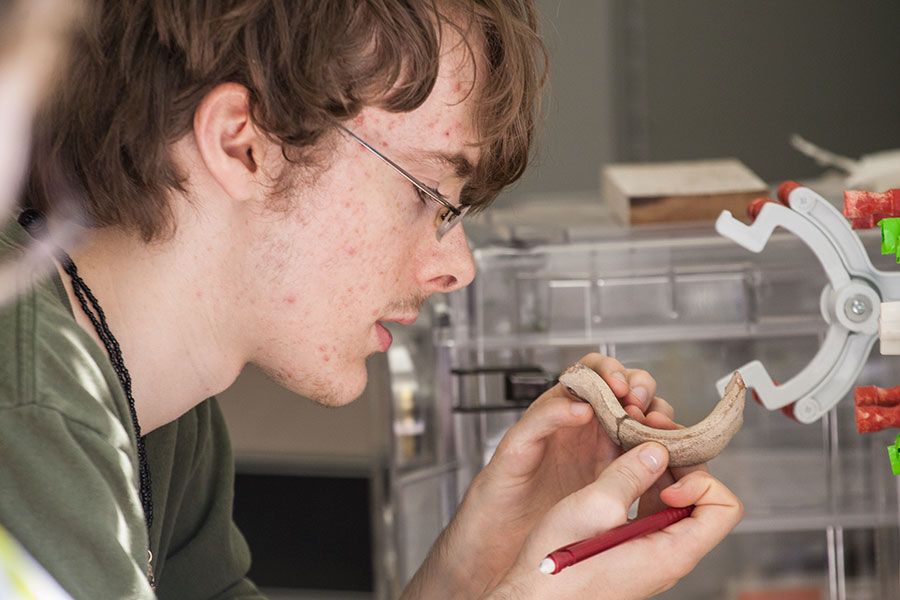 Student examines layers of ceramic artifact found at Dhiban site