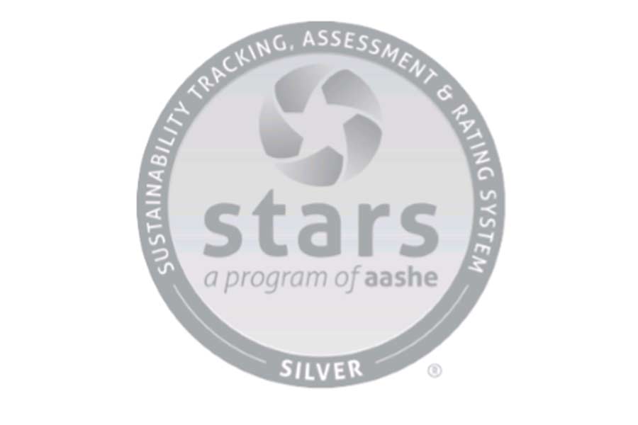 STARS medallion