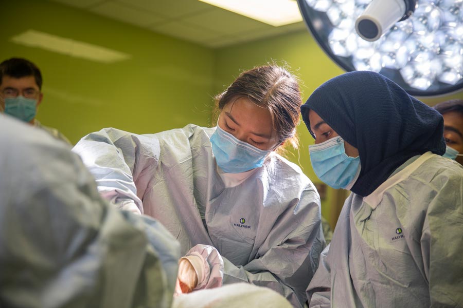 Thao Luong '23 (left) participates in activity with other program participants.