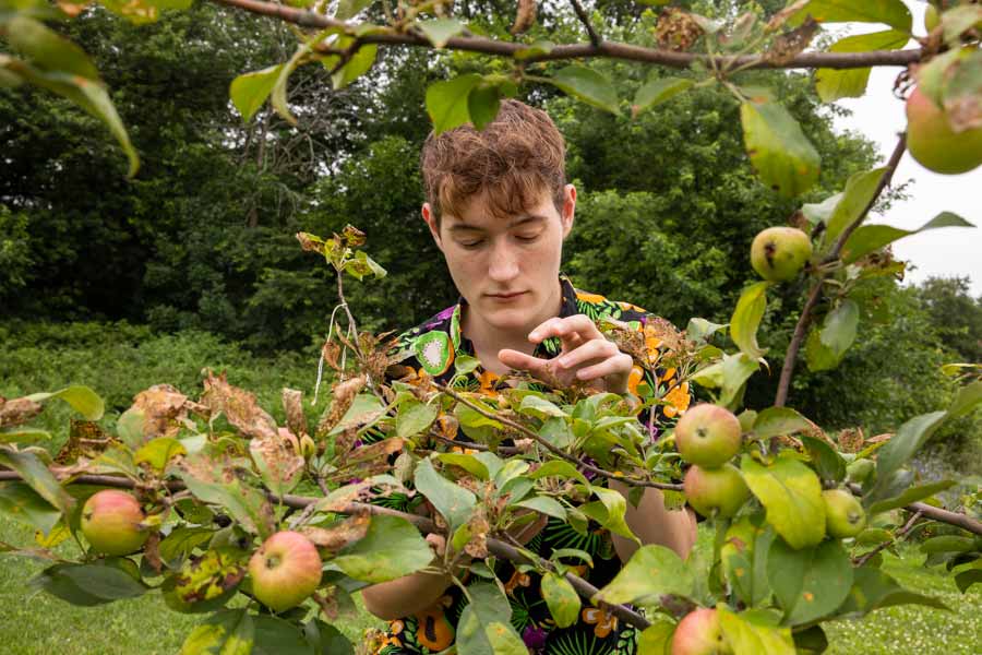 Student checking for beetles on a plant for their project in eco friendly cultivation.