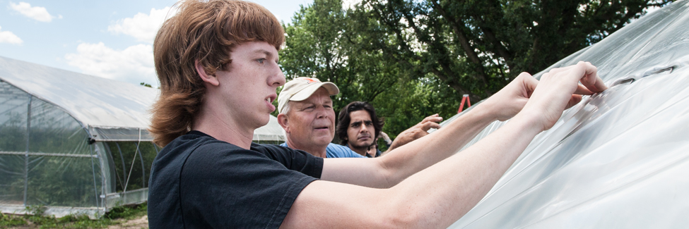 Students and volunteers stretch plastic to build high tunnels.