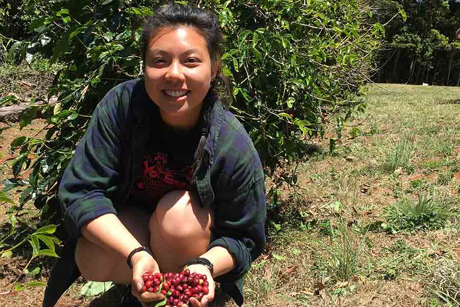 Jenny Lau picking coffee cherry in Wondecla, Australia. 