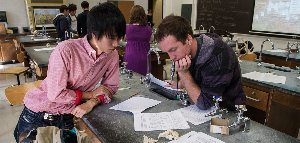 Students work together in a biology lab. 