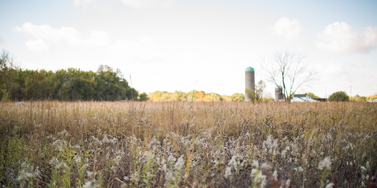 The prairie at the Green Oaks Biological Field Station. 