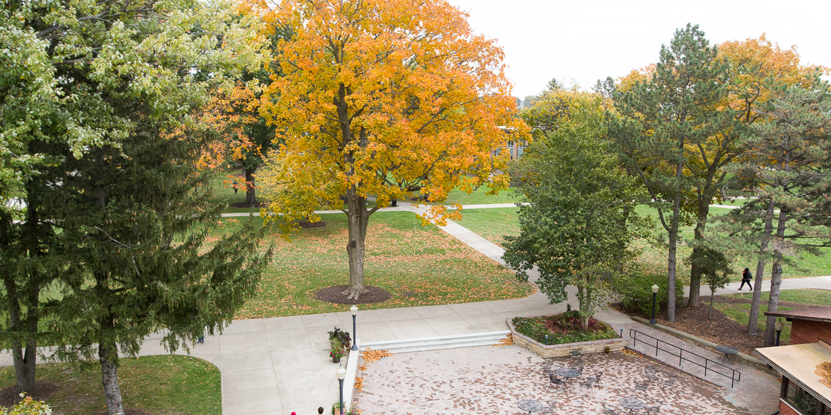 A view of the Gizmo patio from above. 